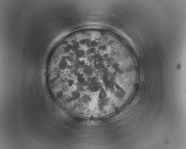 X0000116861411201001121231