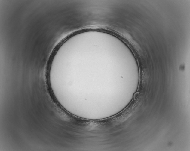 X0000116861412201001121231