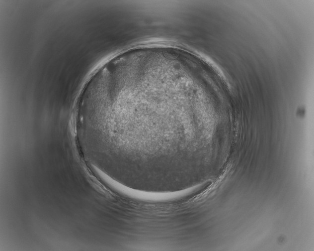 X0000116861413201001121231