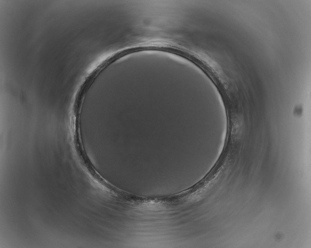 X0000116861414201001121231