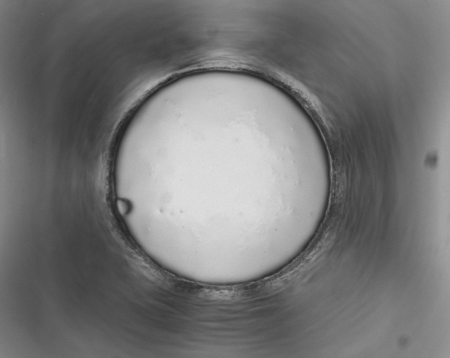 X0000116861415201001121231