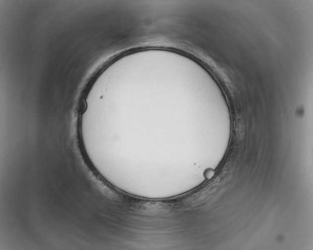 X0000116861416201001121231