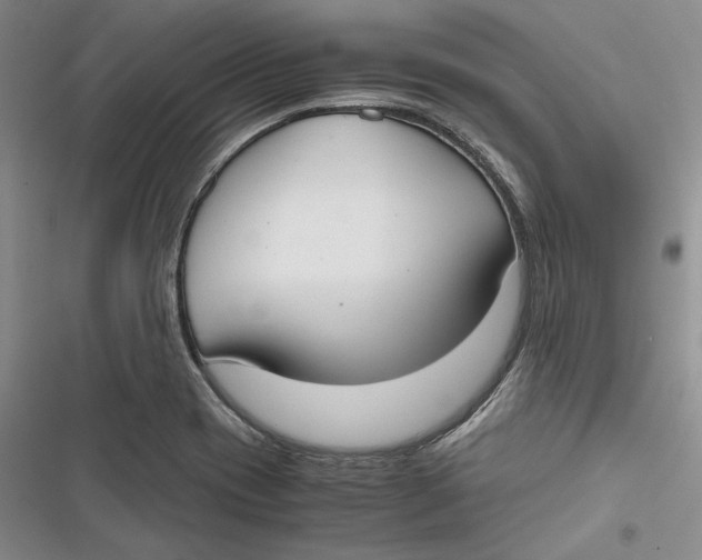 X0000116861417201001121231