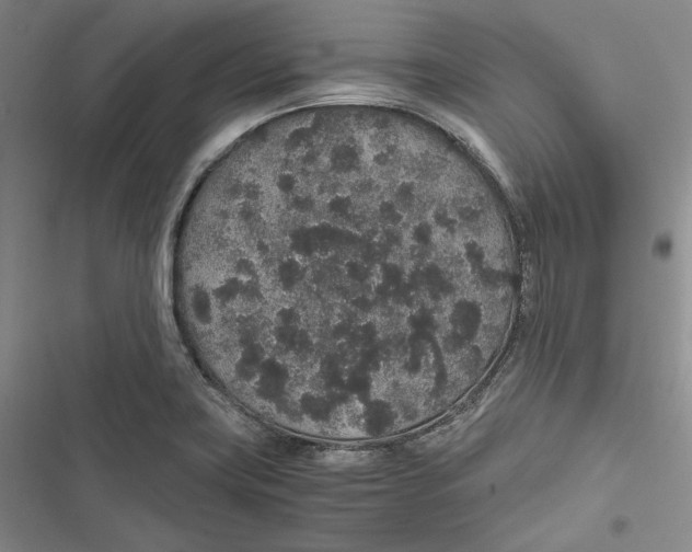 X0000116861419201001121231