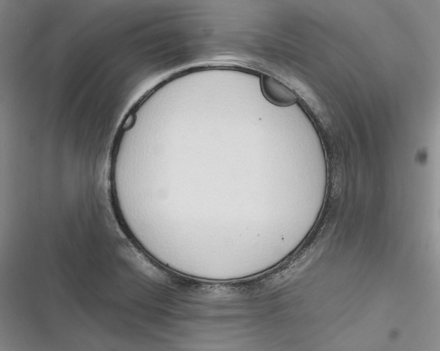 X0000116861420201001121231