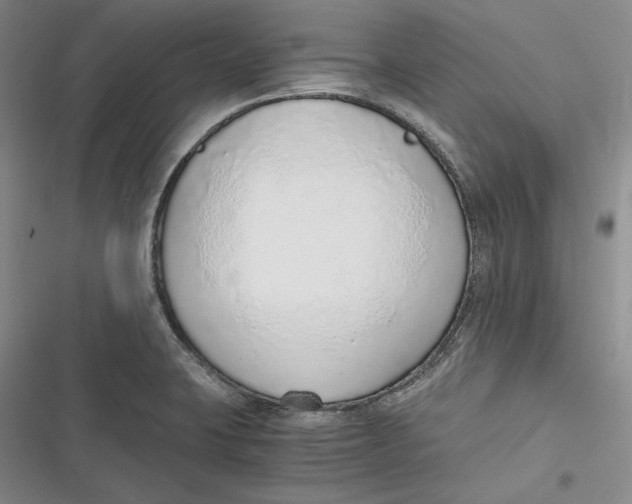 X0000116861423201001121231