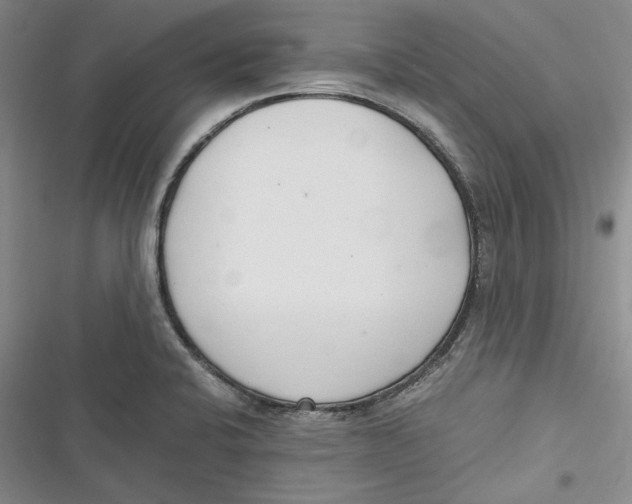 X0000116861424201001121231