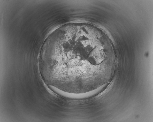 X0000116861425201001121231