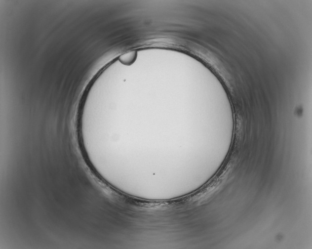 X0000116861426201001121231