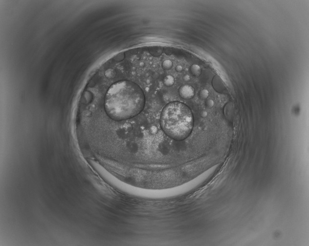 X0000116861427201001121231