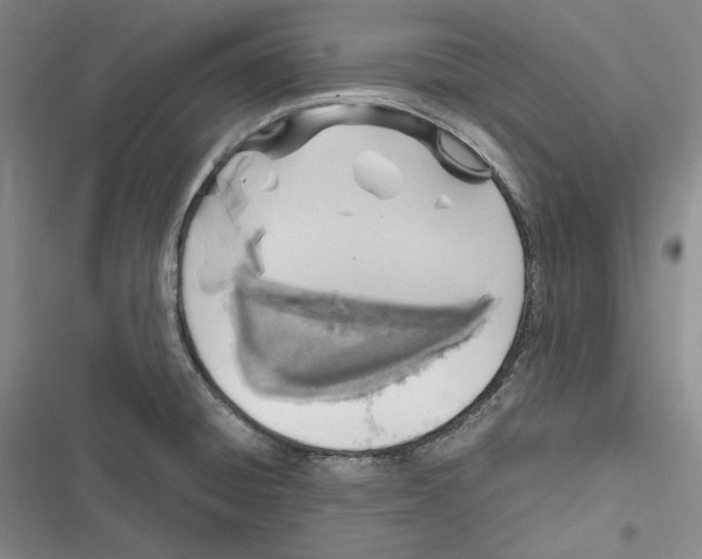 X0000116861428201001121231