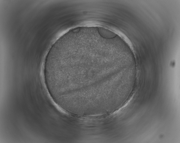 X0000116861429201001121231