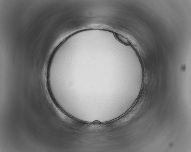 X0000116861430201001121231