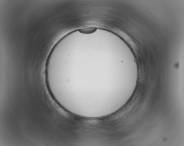 X0000116861431201001121231