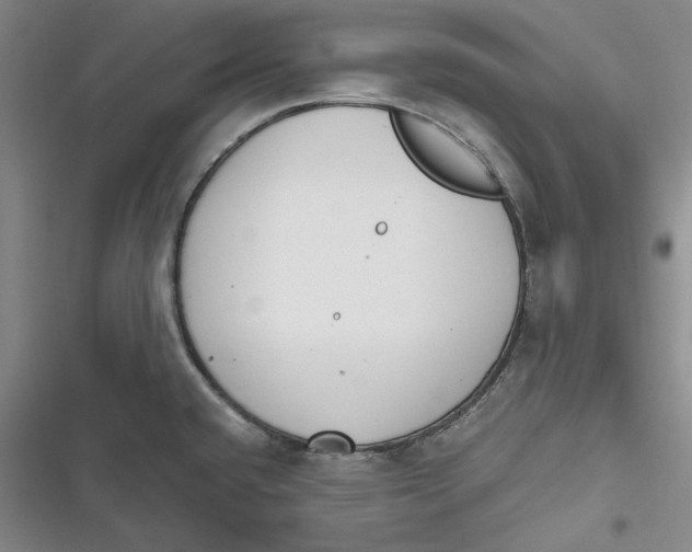 X0000116861432201001121231