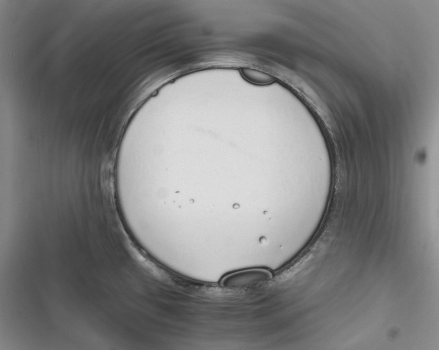 X0000116861433201001121231