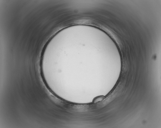 X0000116861434201001121231