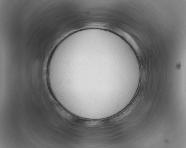 X0000116861435201001121231