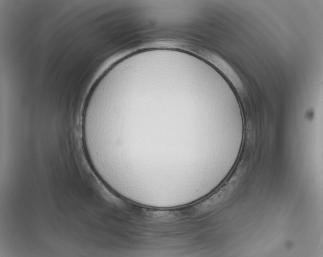 X0000116861436201001121231