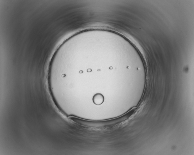 X0000116861437201001121231