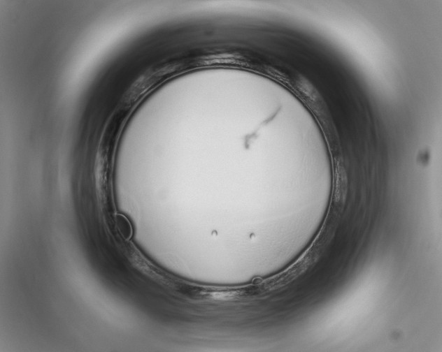 X0000116861438201001121231