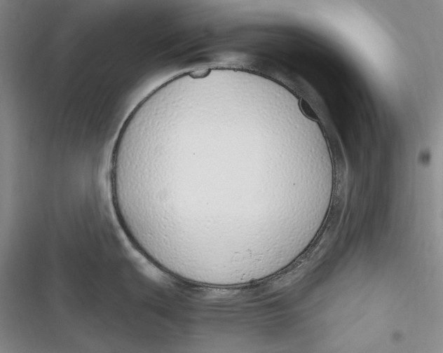 X0000116861439201001121231