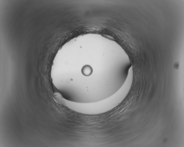 X0000116861441201001121231