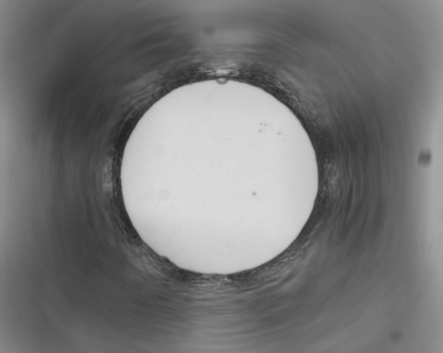 X0000116861442201001121231