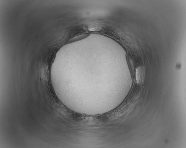 X0000116861443201001121231