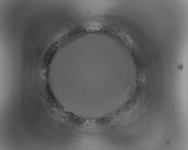 X0000116861445201001121231