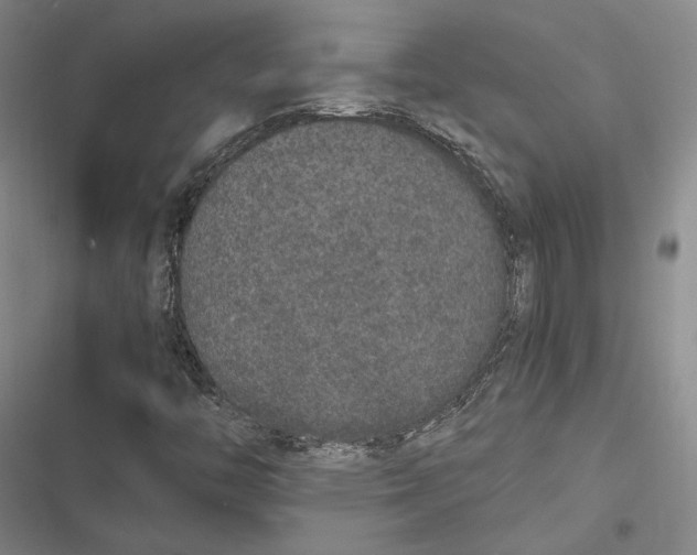 X0000116861446201001121231