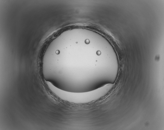 X0000116861448201001121231