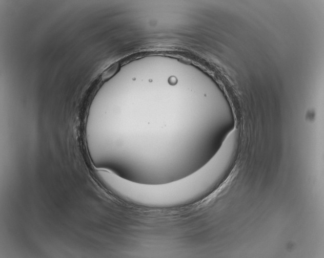 X0000116861449201001121231