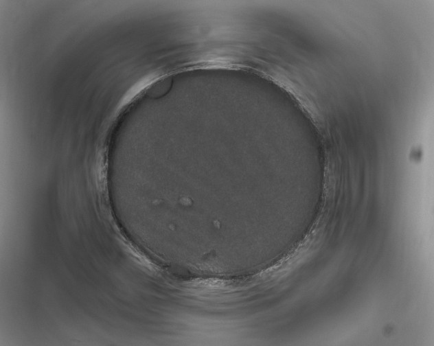 X0000116861450201001121231