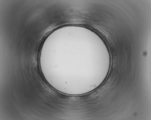 X0000116861451201001121231