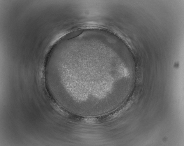 X0000116861453201001121231