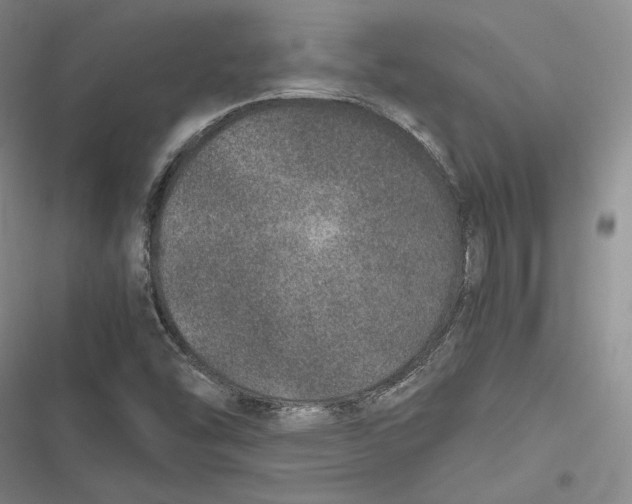 X0000116861454201001121231