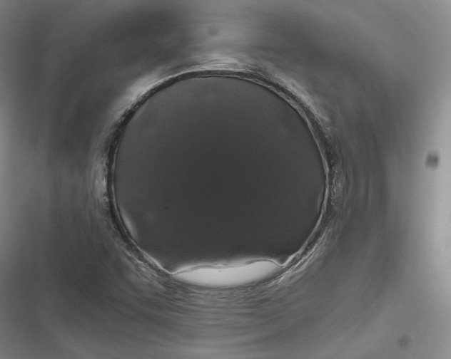 X0000116861455201001121231