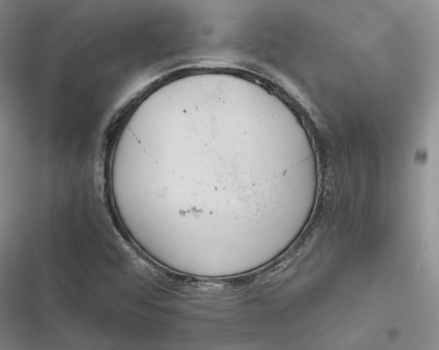 X0000116861456201001121231