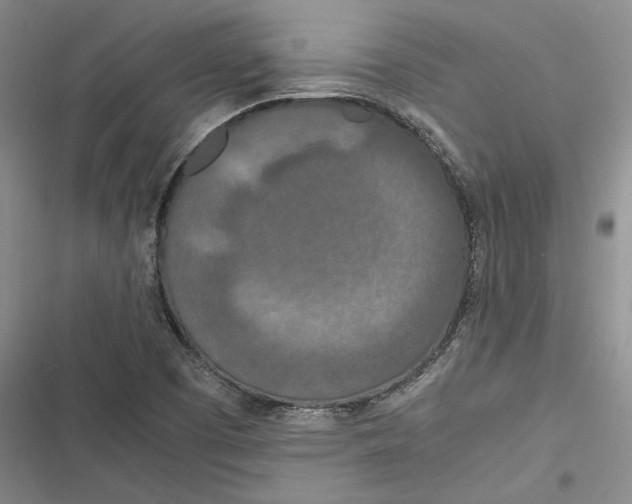 X0000116861457201001121231