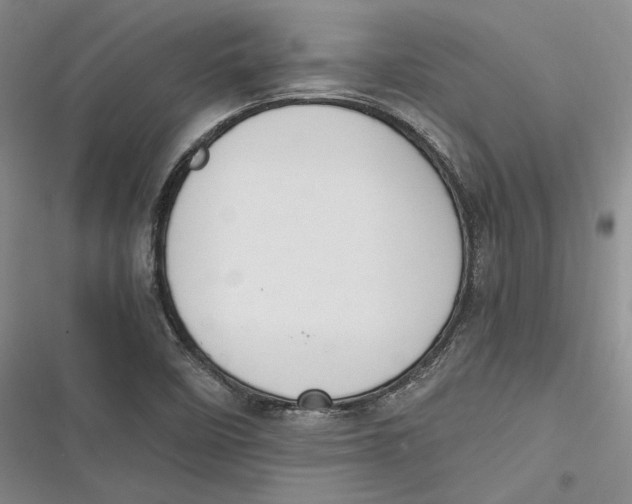 X0000116861458201001121231