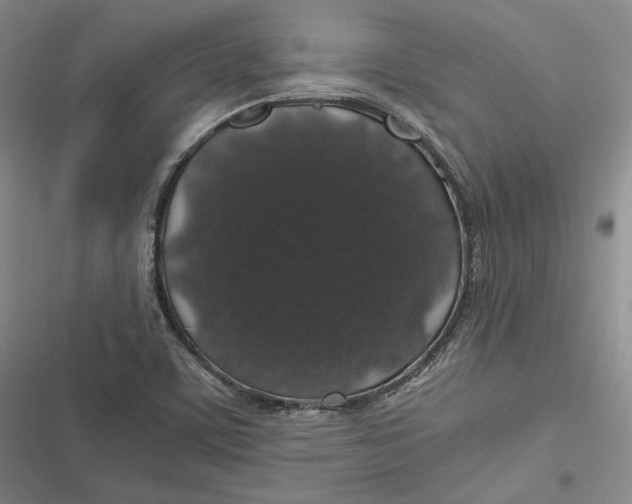 X0000116861459201001121231