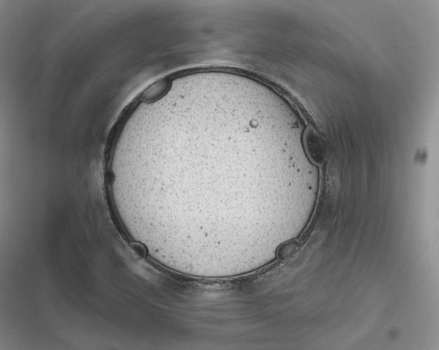 X0000116861460201001121231