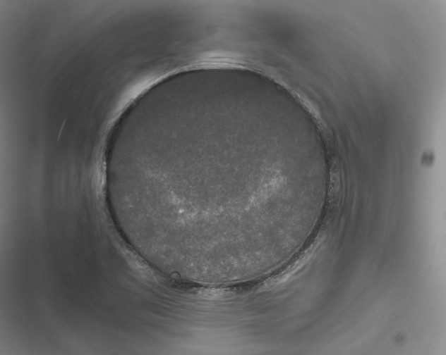 X0000116861461201001121230