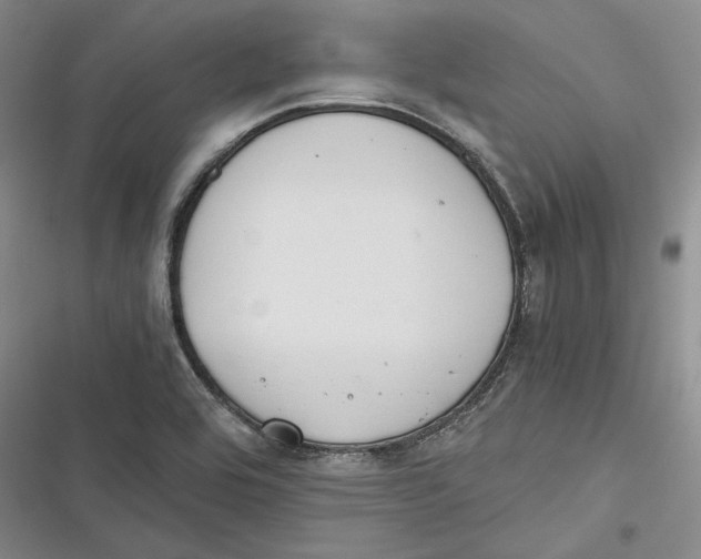 X0000116861464201001121230