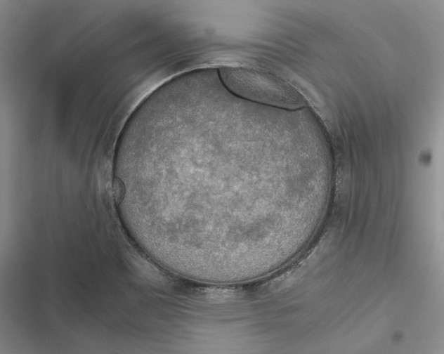 X0000116861465201001121230