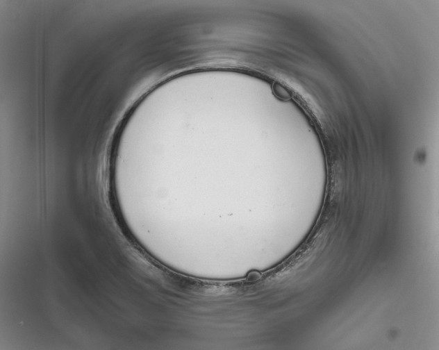 X0000116861467201001121230