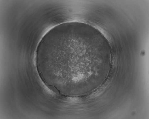 X0000116861468201001121230