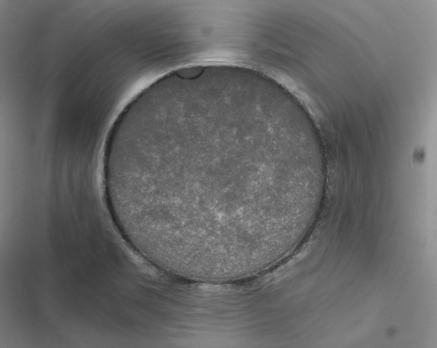 X0000116861469201001121230