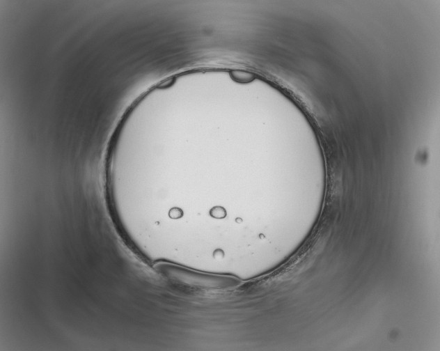 X0000116861471201001121230